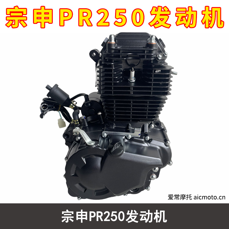 宗申PR250发动机 爱常摩托